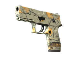 P250 | Modern Hunter image