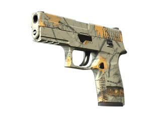 P250 | Modern Hunter