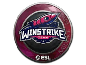 Sticker | Winstrike Team | Katowice 2019 image