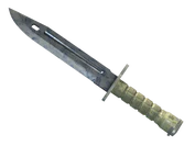 ★ Bayonet | Stained image