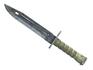 ★ Bayonet | Stained
