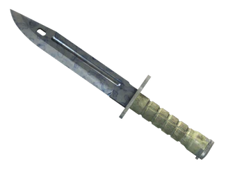 ★ Bayonet | Stained image