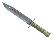 ★ Bayonet | Rust Coat image