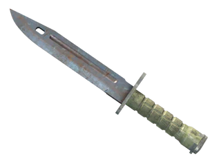 ★ Bayonet | Rust Coat