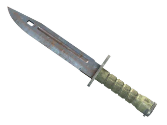 ★ Bayonet | Rust Coat image