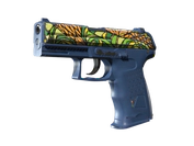 P2000 | Corticera image