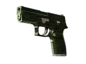 P250 | Iron Clad image