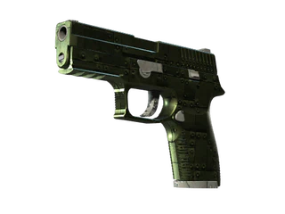 P250 | Iron Clad