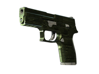 P250 | Iron Clad image