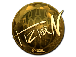 Sticker | tiziaN (Gold) | Katowice 2019 image