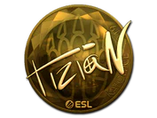 Sticker | tiziaN (Gold) | Katowice 2019 image