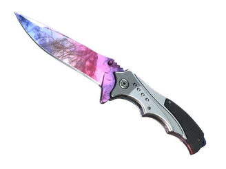 ★ Nomad Knife | Doppler Phase 1 image