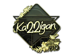 Sticker | karrigan (Gold) | Rio 2022 image