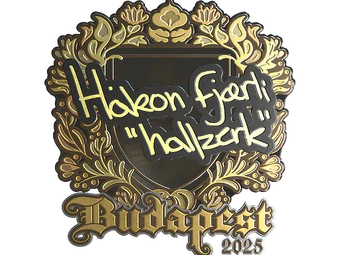 Sticker | hallzerk (Gold) | Budapest 2025 image