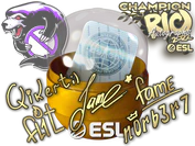 Rio 2022 Champions Autograph Capsule image