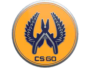 Guardian 2 Pin image