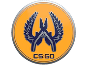 Guardian 2 Pin image