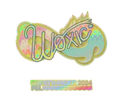 Sticker | woxic (Holo) | Copenhagen 2024 image