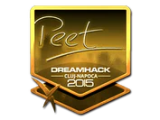 Sticker | peet (Gold) | Cluj-Napoca 2015 image