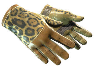 ★ Driver Gloves | Queen Jaguar image