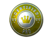 Sticker | The Pro (Foil) image