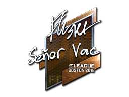 Sticker | flusha (Foil) | Boston 2018 image