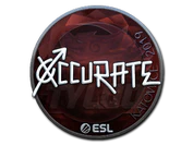 Sticker | xccurate (Foil) | Katowice 2019 image
