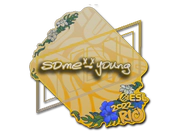 Sticker | sdy | Rio 2022 image