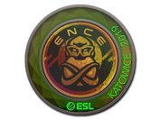 Sticker | ENCE (Holo) | Katowice 2019 image