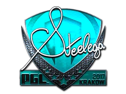 Sticker | steel (Foil) | Krakow 2017