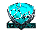 Sticker | steel (Foil) | Krakow 2017 image