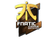 Sticker | Fnatic (Foil) | Boston 2018 image