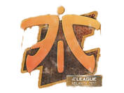 Sealed Graffiti | Fnatic | Atlanta 2017 image