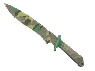 ★ Classic Knife | Boreal Forest image