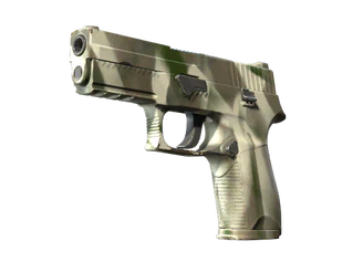 P250 | Bone Mask image