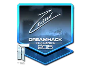 Sticker | Ex6TenZ (Foil) | Cluj-Napoca 2015 image