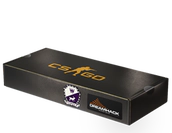 DreamHack 2014 Cobblestone Souvenir Package image