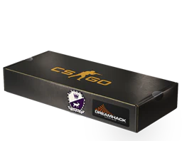 DreamHack 2014 Cobblestone Souvenir Package image