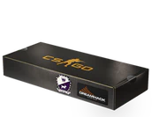 DreamHack 2014 Cobblestone Souvenir Package image