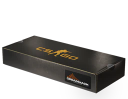 DreamHack 2013 Souvenir Package image