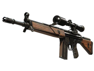 G3SG1 | Hunter