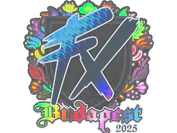 Sticker | Fluxo (Holo) | Budapest 2025 image