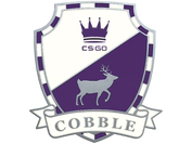 Cobblestone Pin image