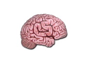 Sticker | CS On The Mind image