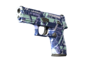 P250 | Digital Architect image