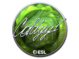 Sticker | COLDYY1 (Foil) | Katowice 2019 image