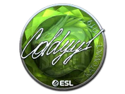 Sticker | COLDYY1 (Foil) | Katowice 2019 image