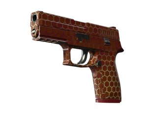 P250 | Hive