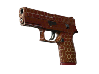P250 | Hive image