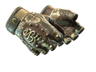 ★ Hydra Gloves | Rattler image